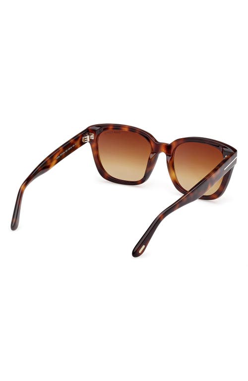 Tom Ford Beatrix Ft0613 52h Geometric Polarized Sunglasses In Shiny Hark Havana Eco