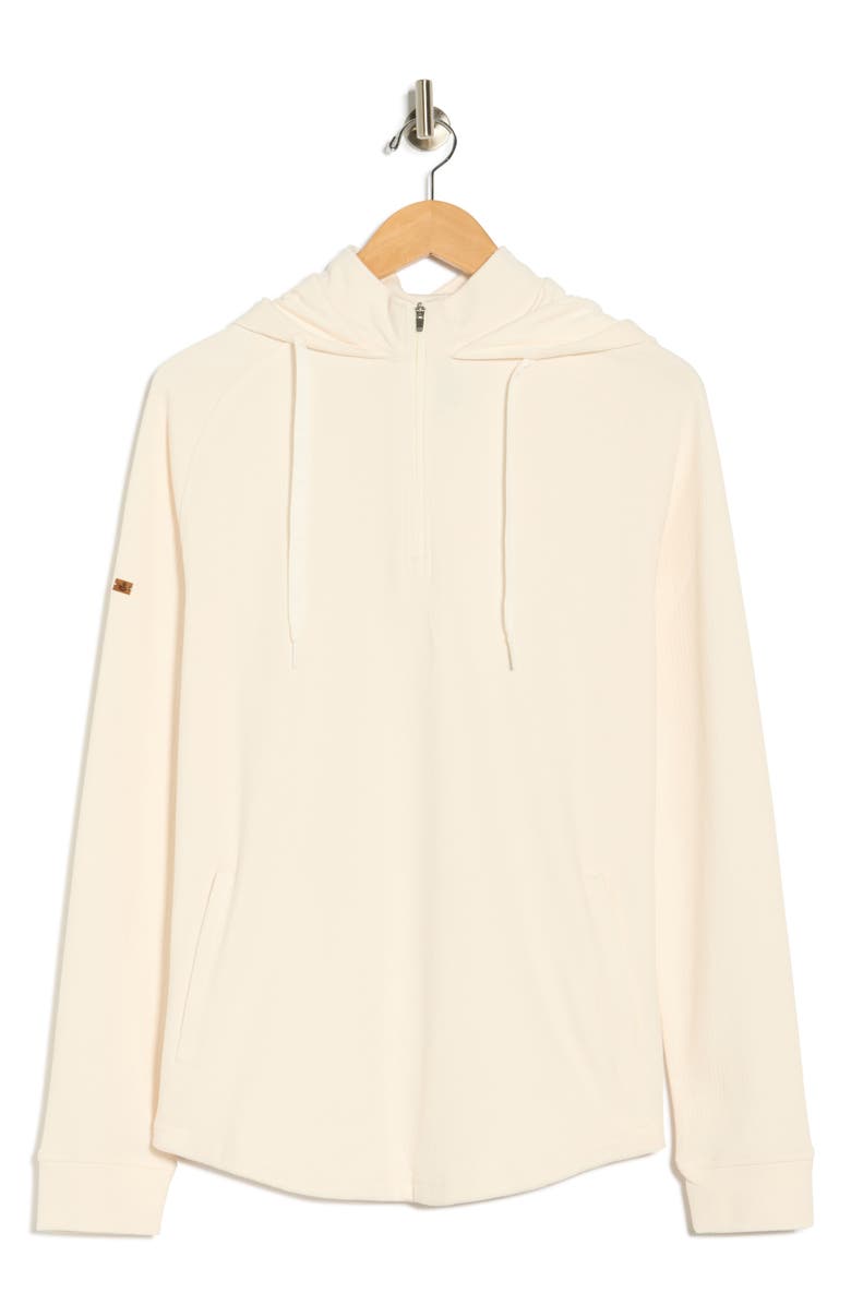 Swannies Hugo Zip Hoodie, Alternate, color, 