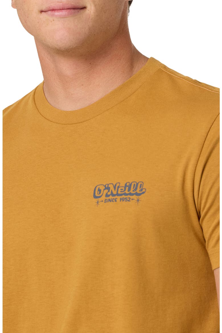 Painter Classic Cotton Graphic T-Shirt, Alternate, color, BONE BROWN