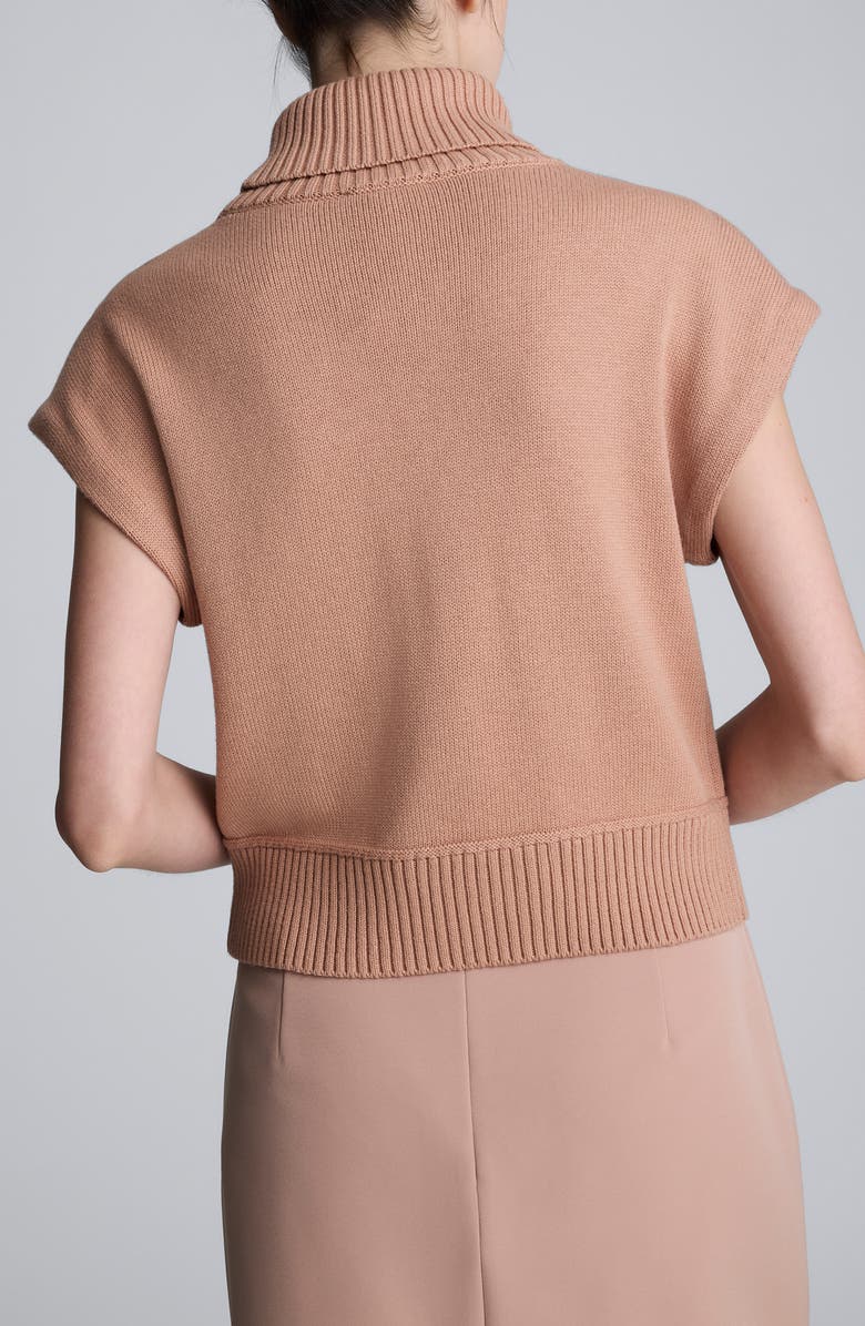 Kenneth Cole Short Sleeve Turtleneck Sweater, Alternate, color,