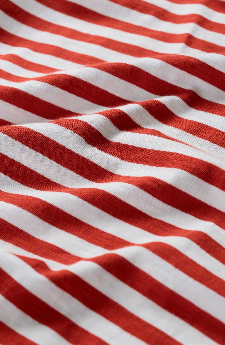 Seasalt Cornwall Copseland Stripe Organic Cotton T-Shirt, Alternate, color, Cornish Chalk Dark Cinnamon