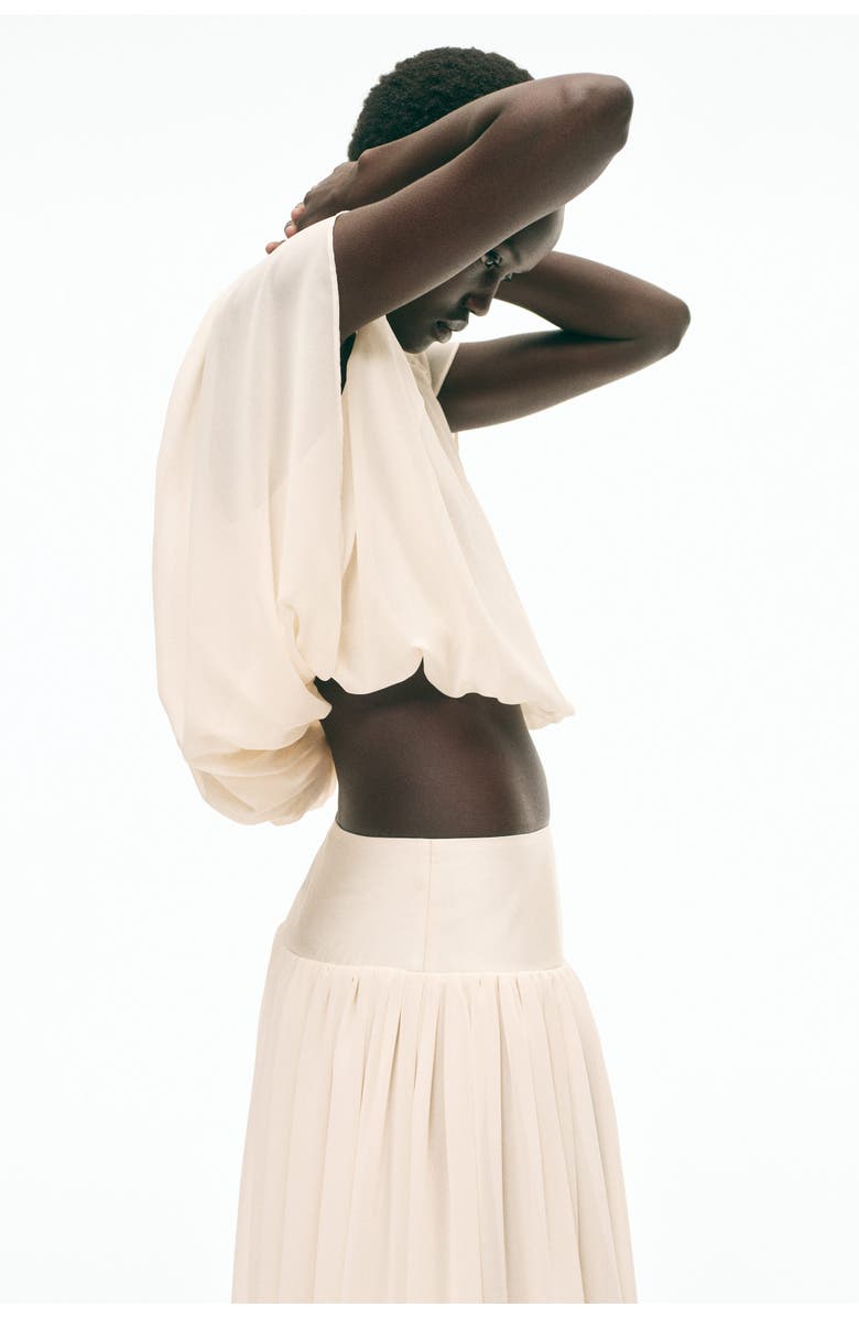 H&M Draped Chiffon Skirt, Alternate, color, 