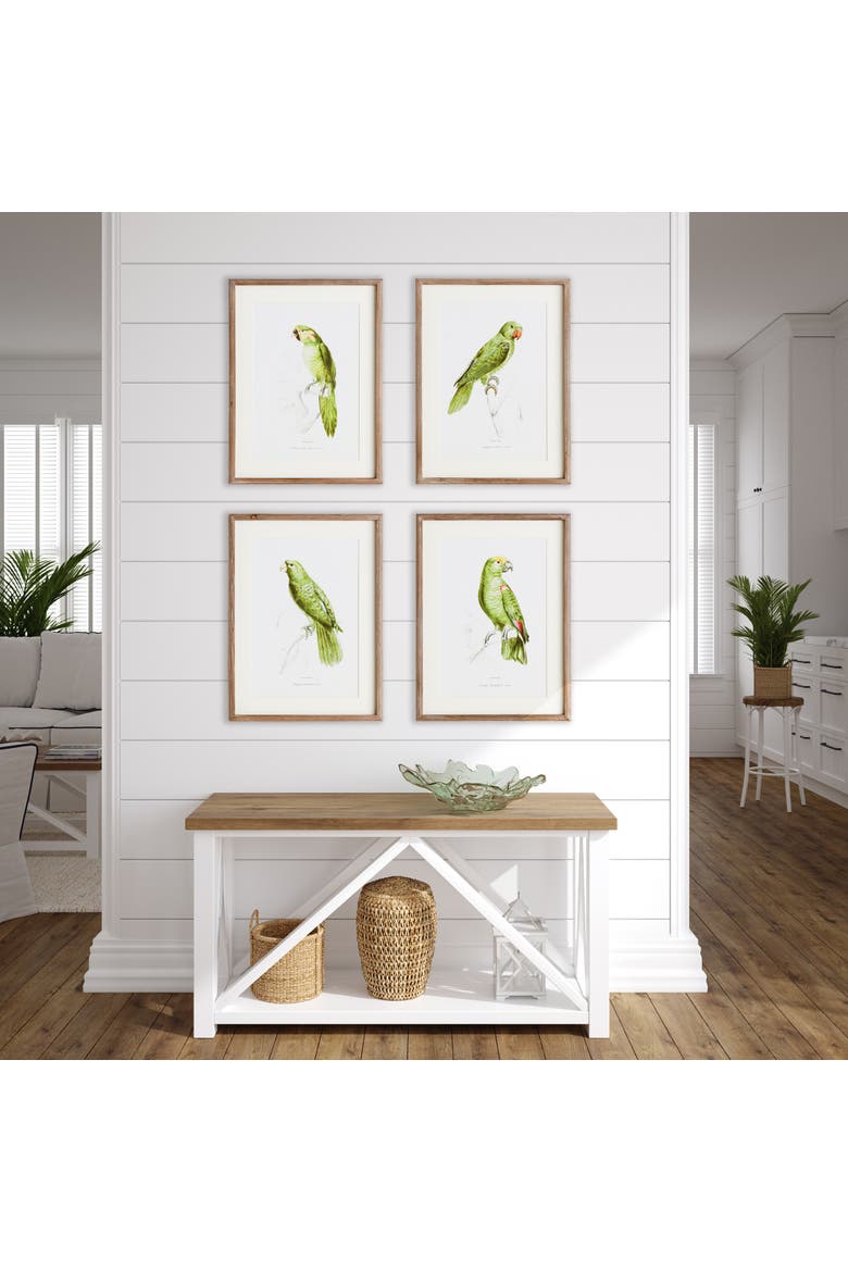 17.75"W x 1"D x 23.5"H Parrot Illustrations In Green Framed Wall Art Set of 4, Alternate, color, Green