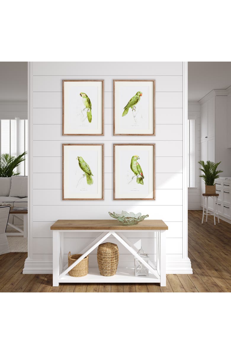 Napa Home & Garden 17.75"W x 1"D x 23.5"H Parrot Illustrations In Green Framed Wall Art Set of 4, Alternate, color, Green