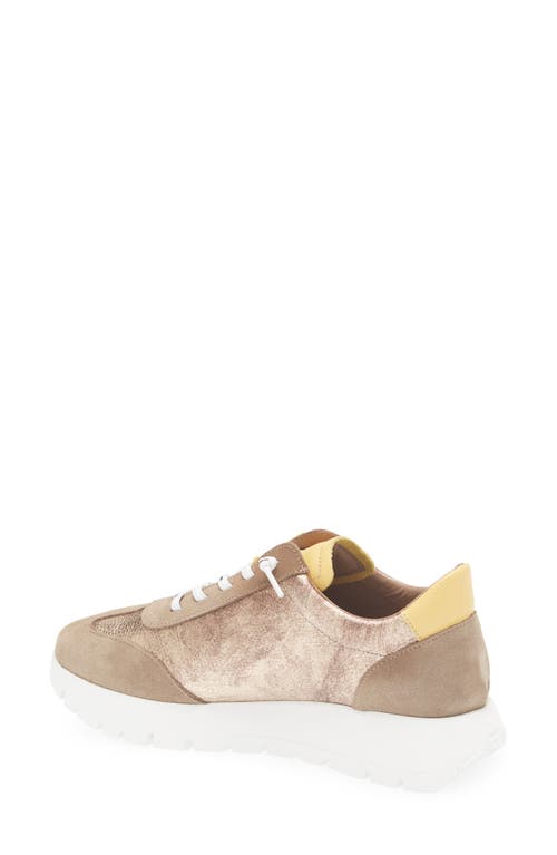 Wonders Fashion Slip-on Sneaker In Multi