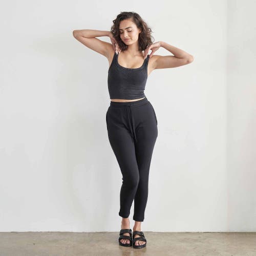 Eavolu Serengeti Pant In Slate