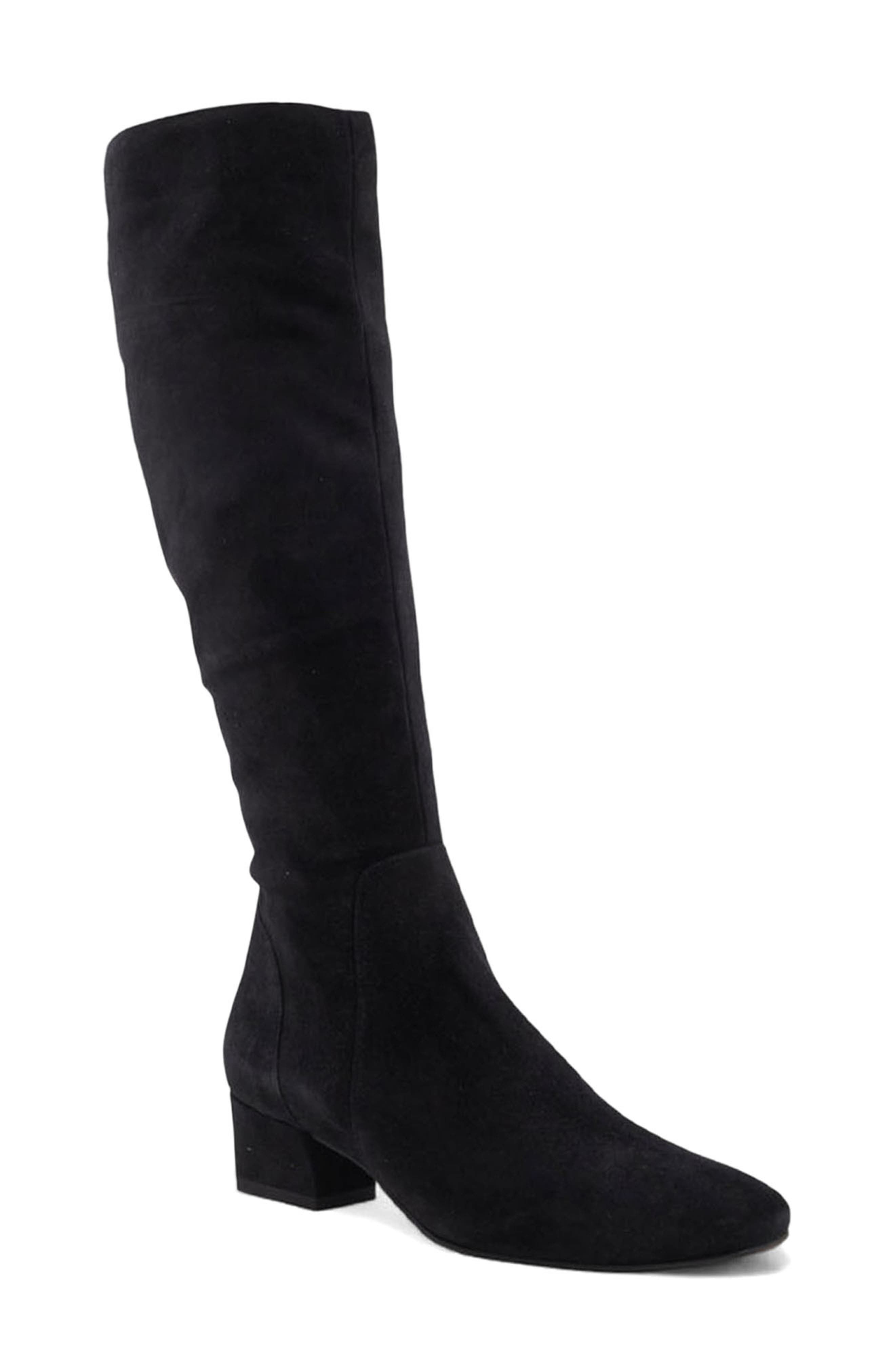 Aquatalia Serafina Weatherproof Knee High Boot, Main, color, Black Suede