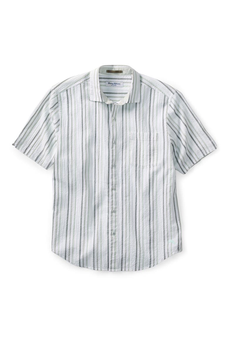 Big & Tall Nova Wave Silva Stripe Sport Shirt, Main, color, DUSTY SAGE