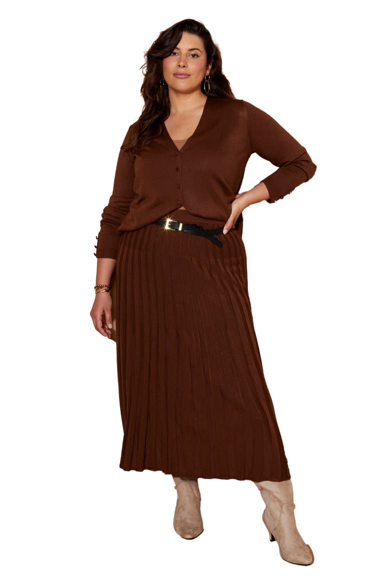 Pleated Midi Skirt, Main, color, COCOA BROWN