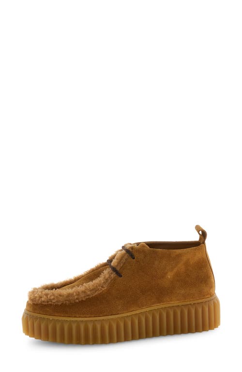 Voile Blanche Penelope Genuine Shearling Platform Bootie In Brown
