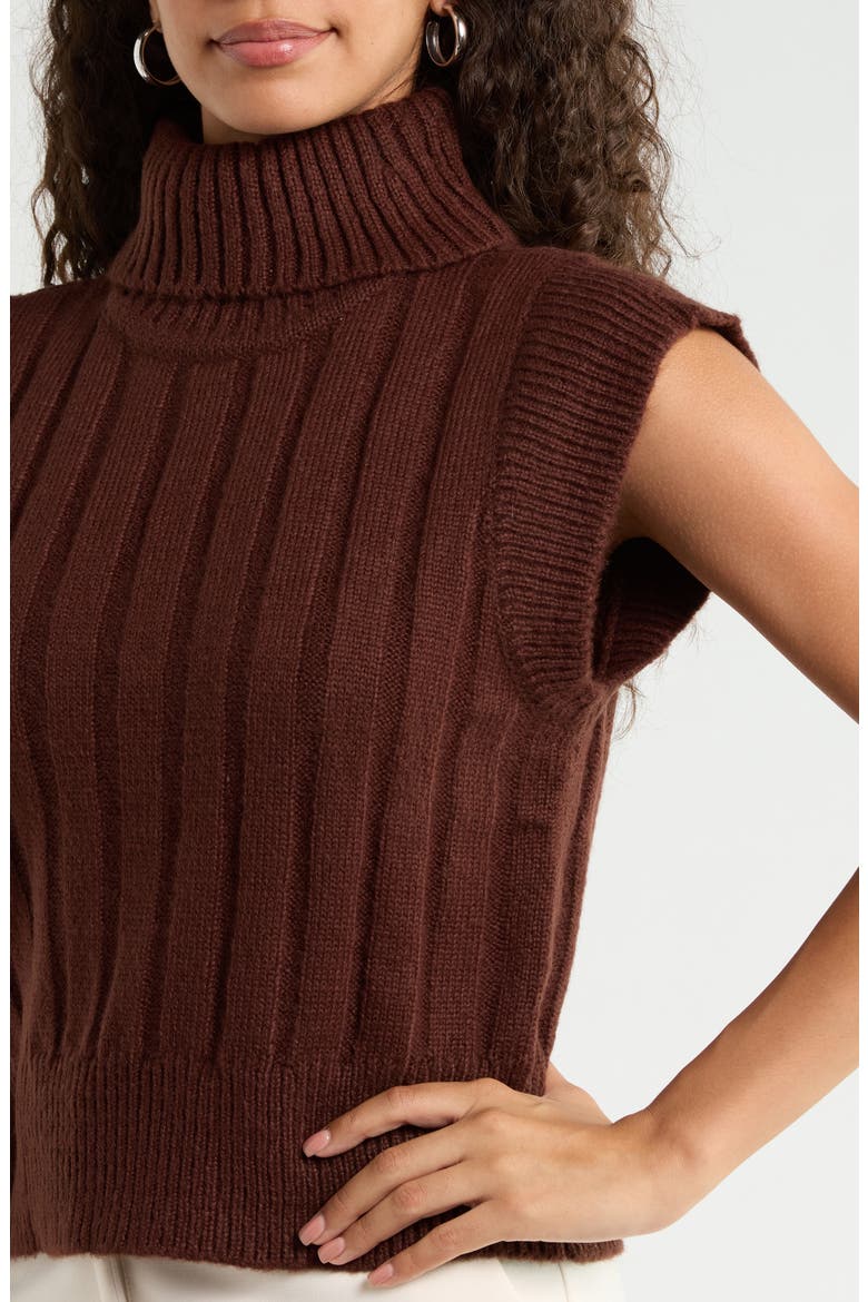 Anaya Ribbed Turtleneck Sweater, Alternate, color, CHOCOLATE