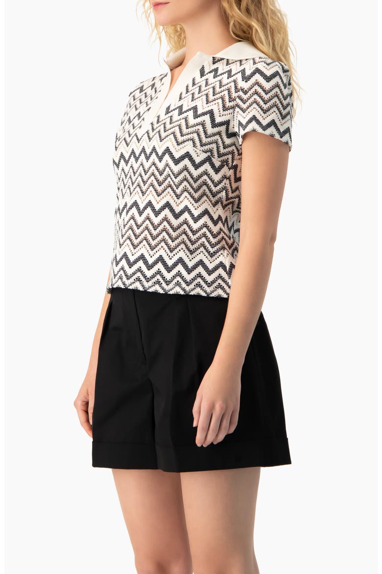 Multicolor Chevron Knit Collared Polo Blouse, Alternate, color, White