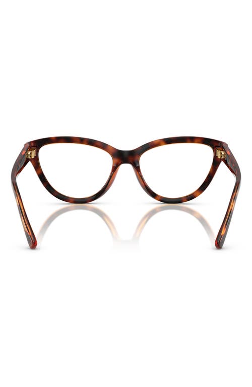 Vogue 52mm Cat Eye Optical Glasses In Dark Havana