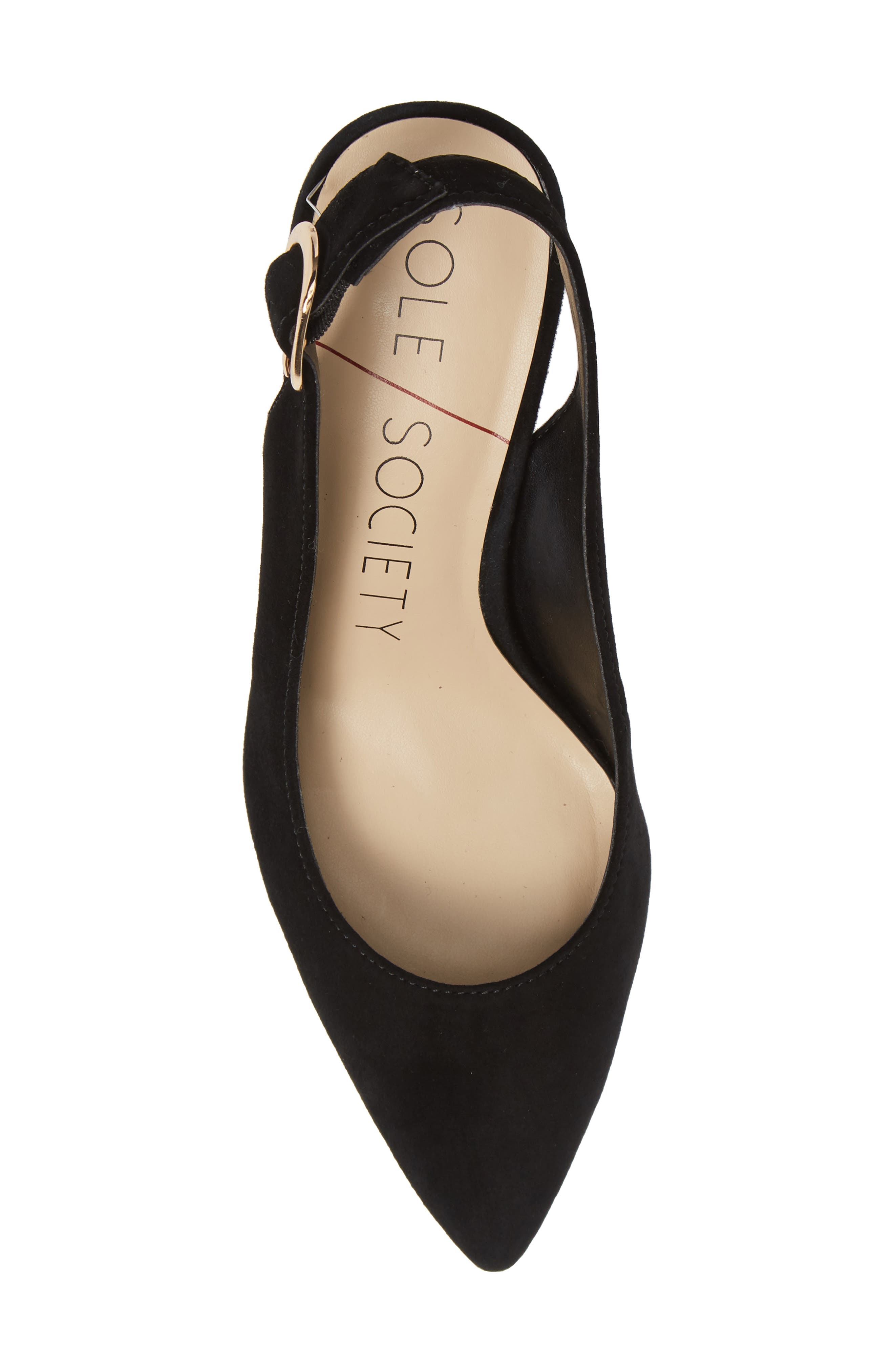 Sole Society Trudie Slingback Pump, Alternate, color, 