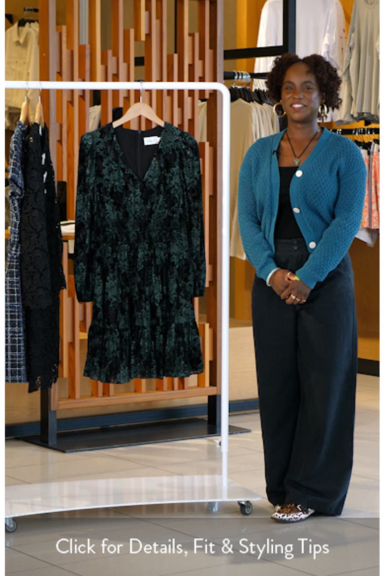 Velvet Floral Long Sleeve Dress video
