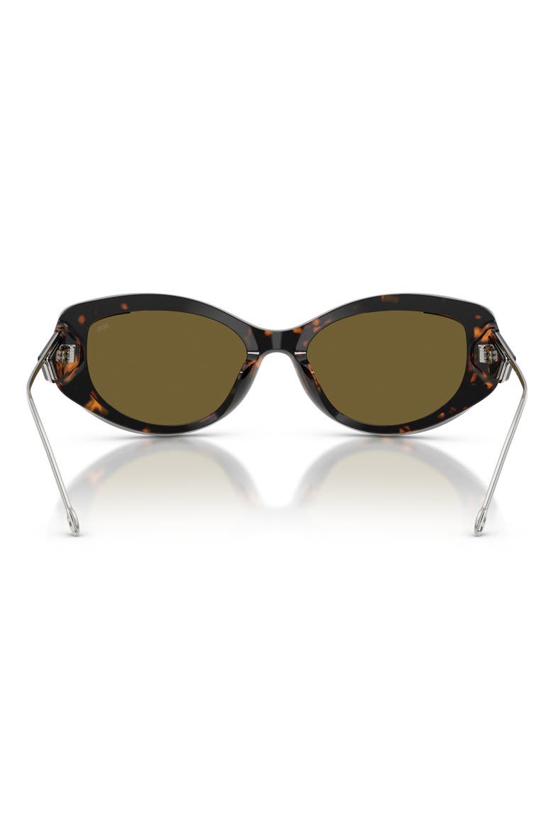Geck-D 54mm Oval Sunglasses, Alternate, color, SHINY HAVANA/ BROWN