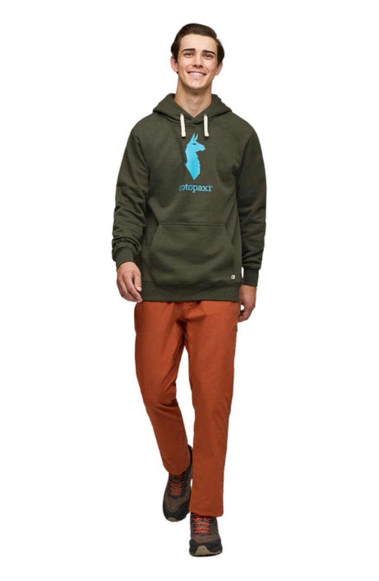 Cotopaxi Llama Pullover Hoodie - Men's, Main, color, Woods