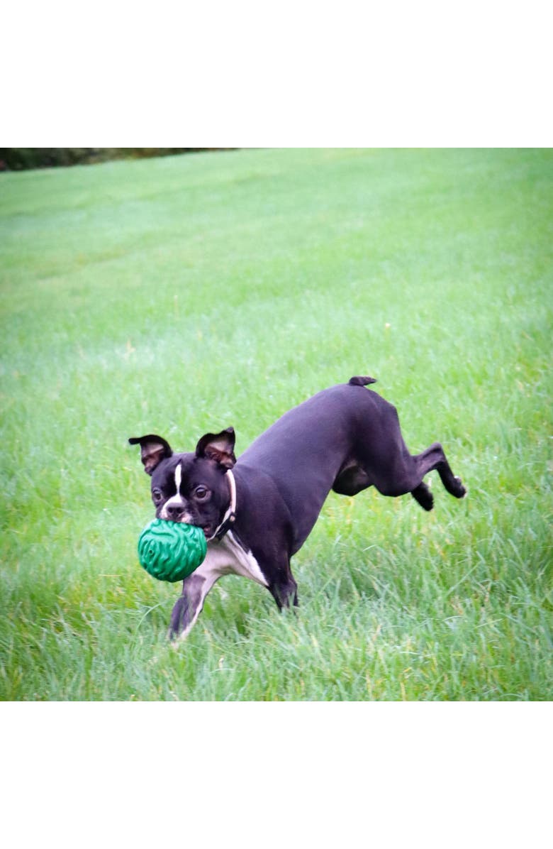 PetKORE Luna Ball, 4 Inches, Large, Green, Dog & Puppy Toy, Alternate, color,