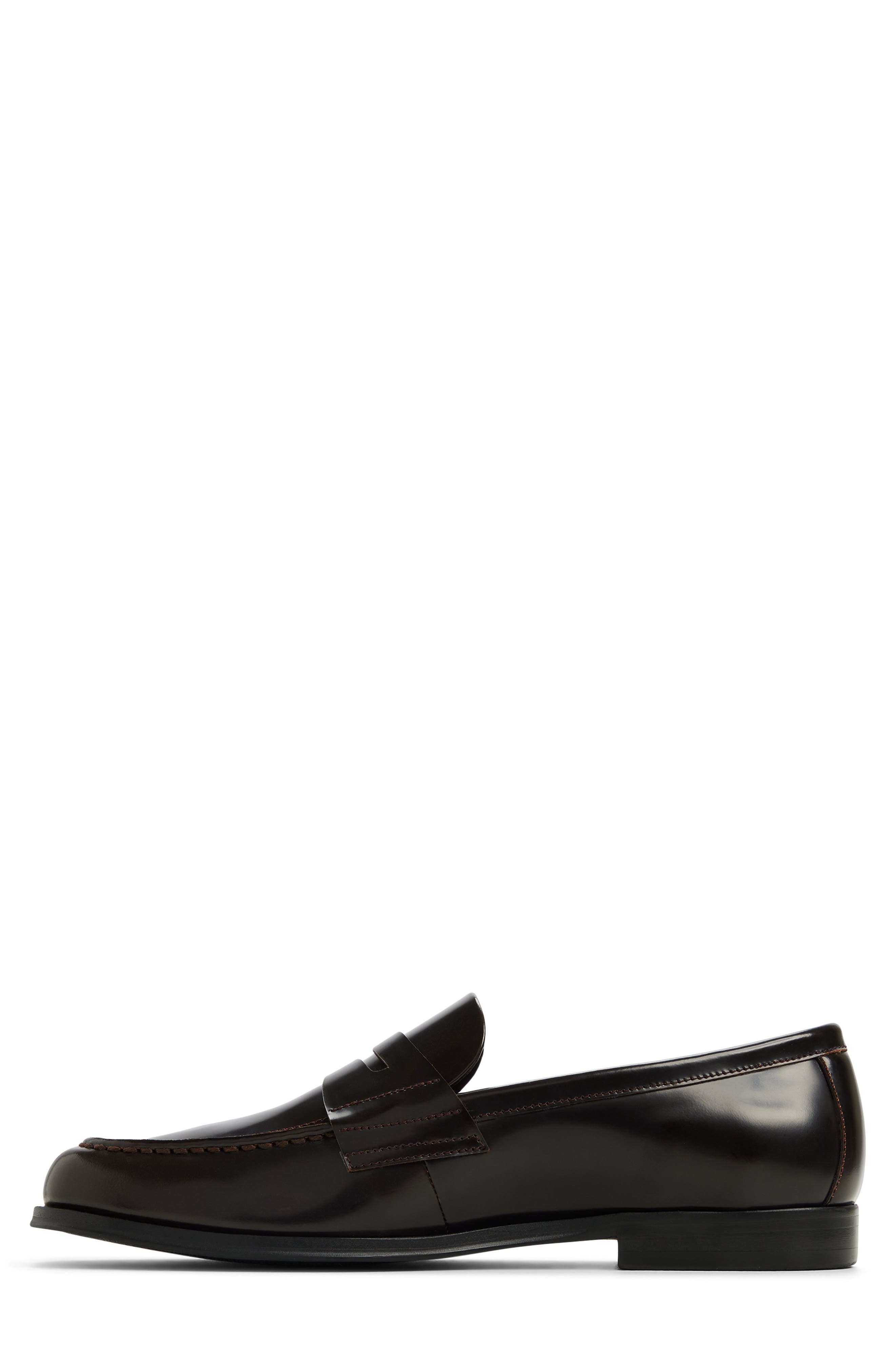 ALDO Keifer Penny Loafer, Alternate, color, Dark Brown