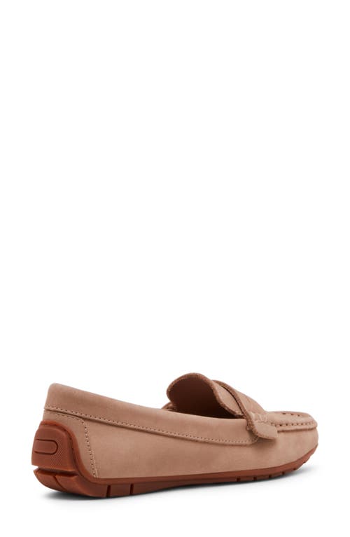 Blondo Shellby Waterproof Driving Loafer In Brown