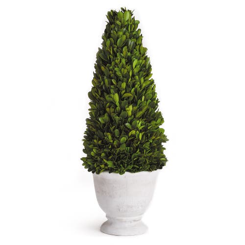 Napa Home & Garden Boxwood Cone Topiary In Pot In Green