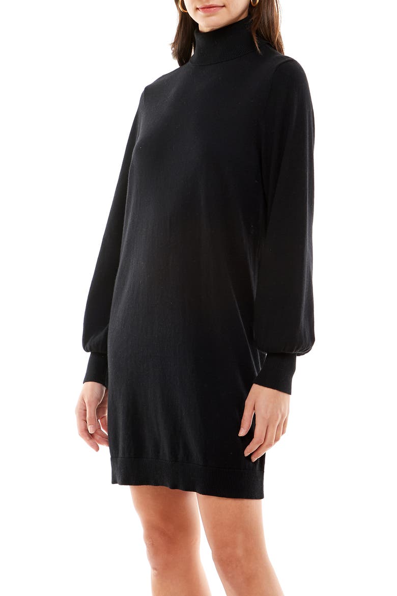 Morela Long Sleeve Turtleneck Sweater Dress, Alternate, color, BLACK