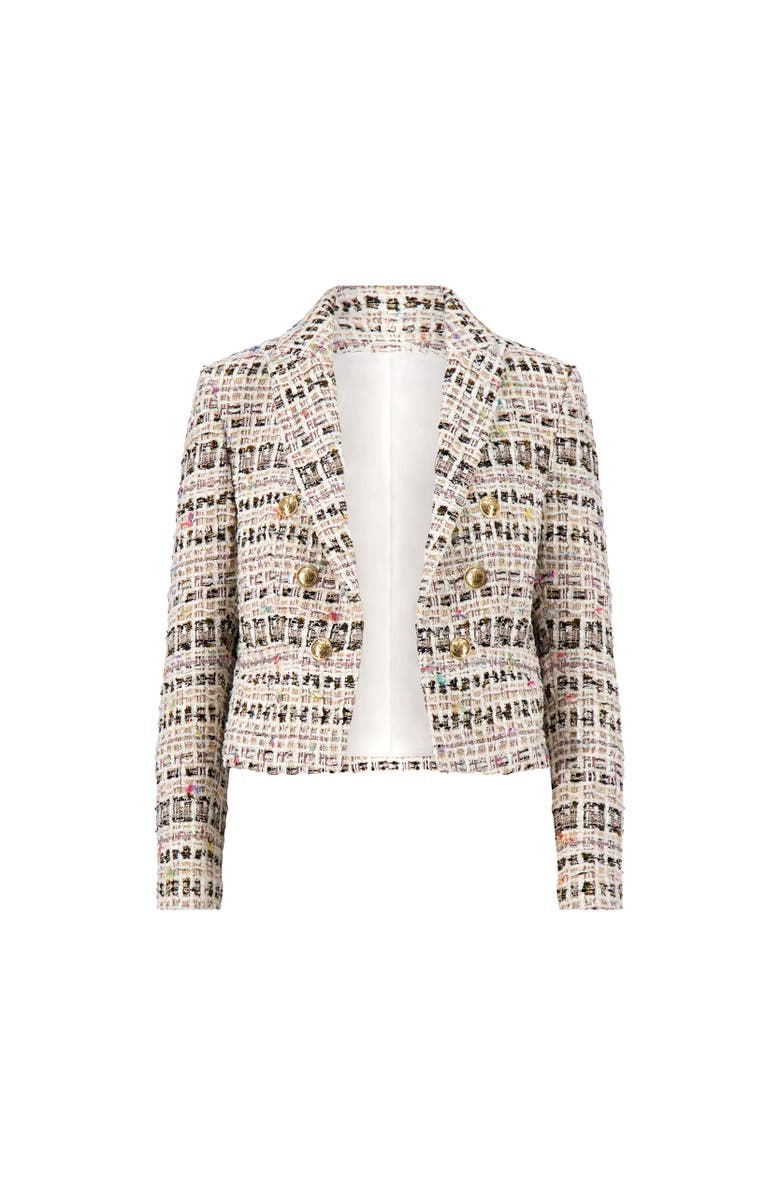 The Noli Shop Gabrielle Double-Breasted Tweed Blazer, Alternate, color, Ecru Multi