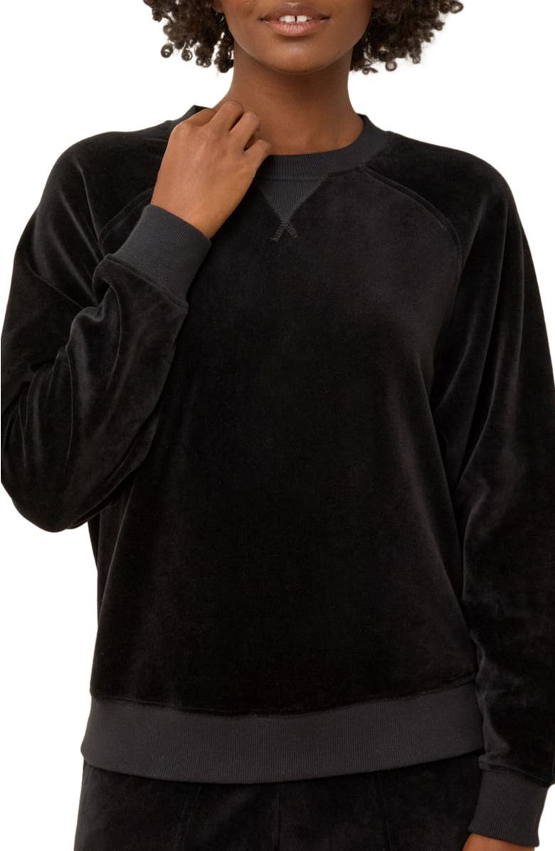 Pact Pure Velour Crew Sweatshirt, Alternate, color, Black