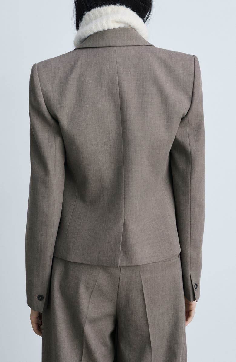 MANGO Helena Crop Blazer, Alternate, color, Brown