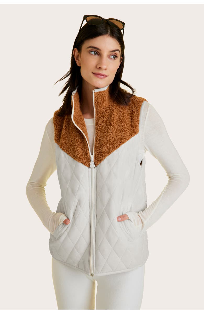 ALALA Reversible Ski Vest, Main, color,