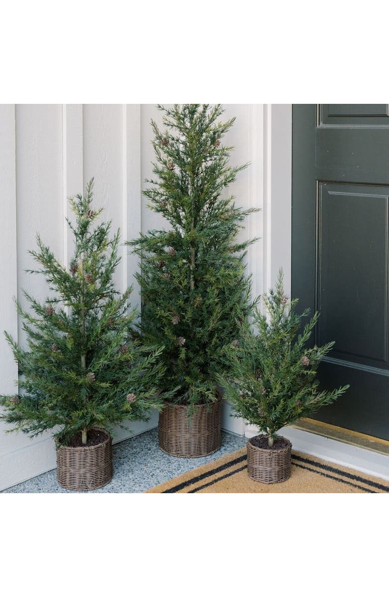 CG Hunter 2' Pine Tree, Alternate, color, Green