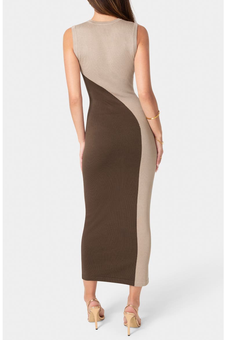 Colorblock Sleeveless Maxi Sweater Dress, Alternate, color, NUDE CHOCOLATE
