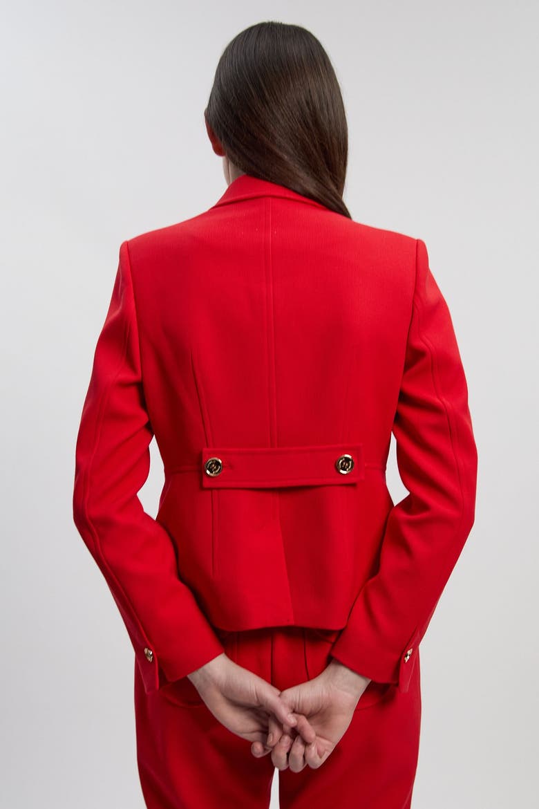 Textured Compact Stretch Tailored Jacket, Alternate, color, Red