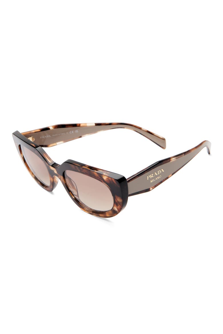 53mm Oval Sunglasses, Alternate, color, TORTOISE/ BROWN