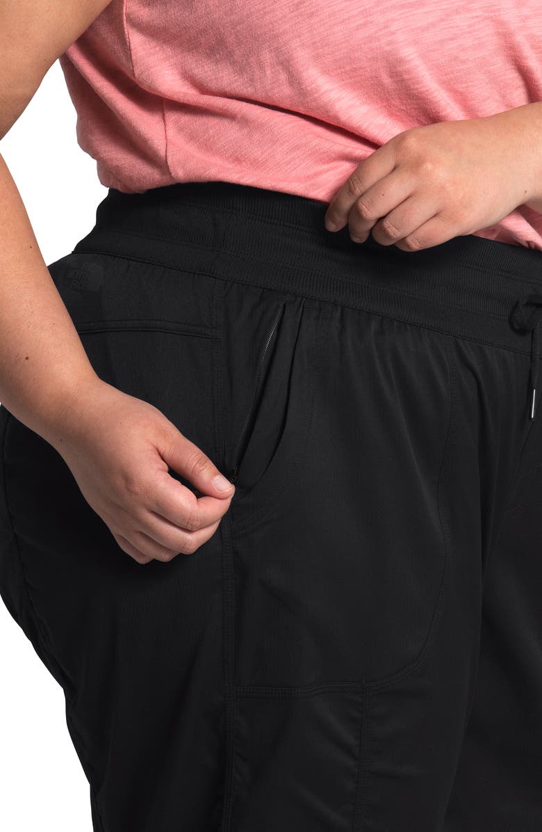 The North Face Aphrodite 2.0 Motion Water Repellent Pants, Alternate, color, 
