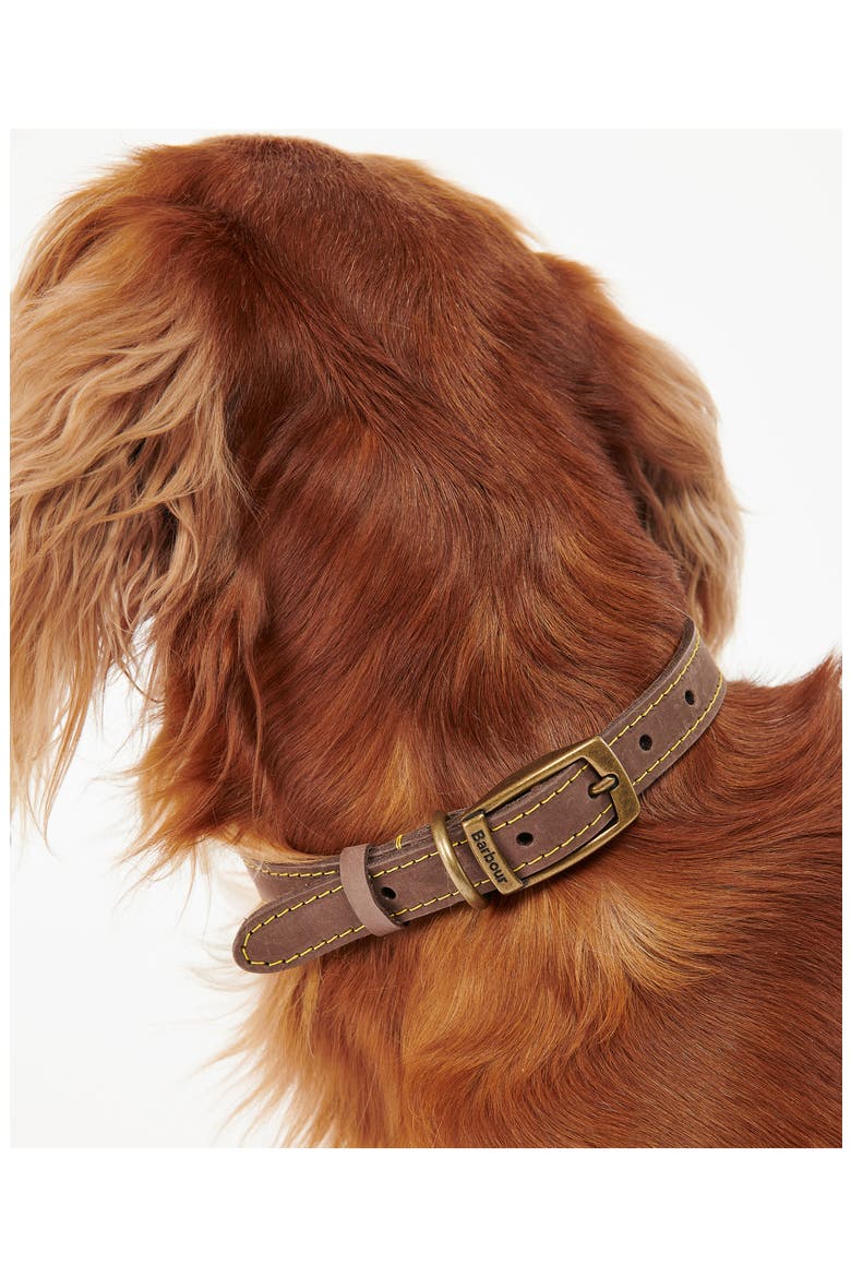 Leather Dog Collar, Alternate, color, BROWN
