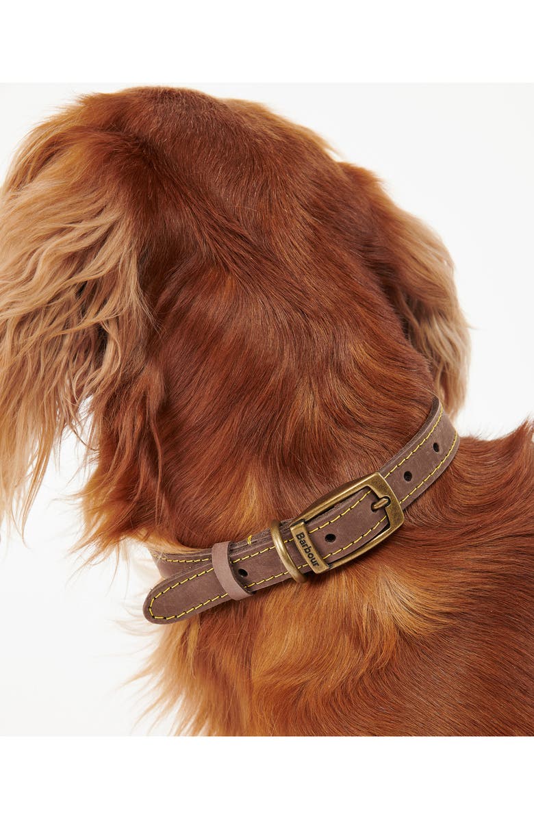 Barbour Leather Dog Collar, Alternate, color, Brown