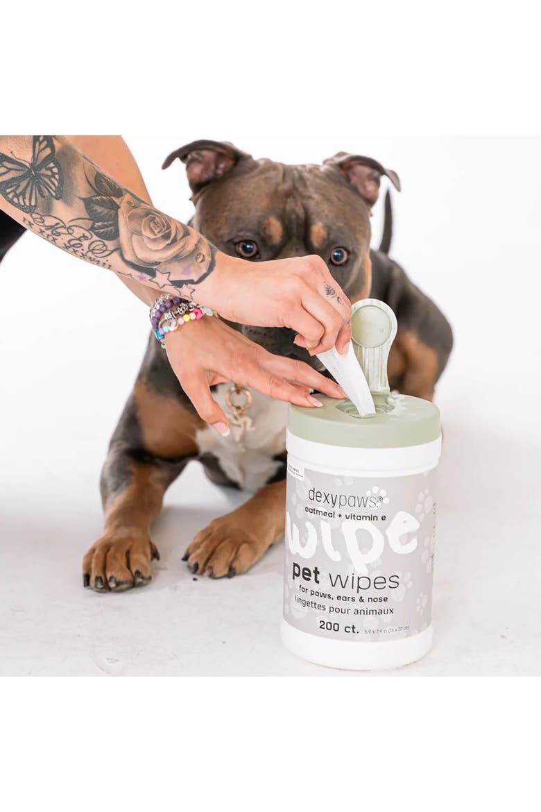 Pet Wipes Oatmeal & Vitamin E, 200Ct, Alternate, color, White
