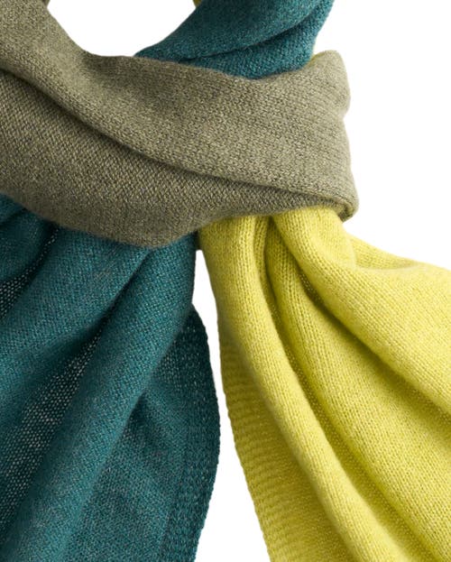 Monticelli Cashmere Pure Cashmere Butter-soft Wide Scarf