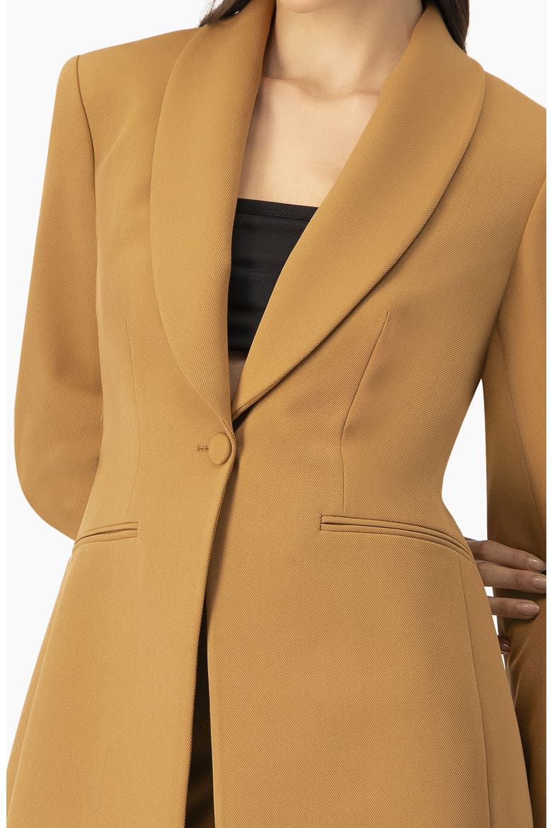Single-Button Shawl Lapel Blazer, Alternate, color, Camel