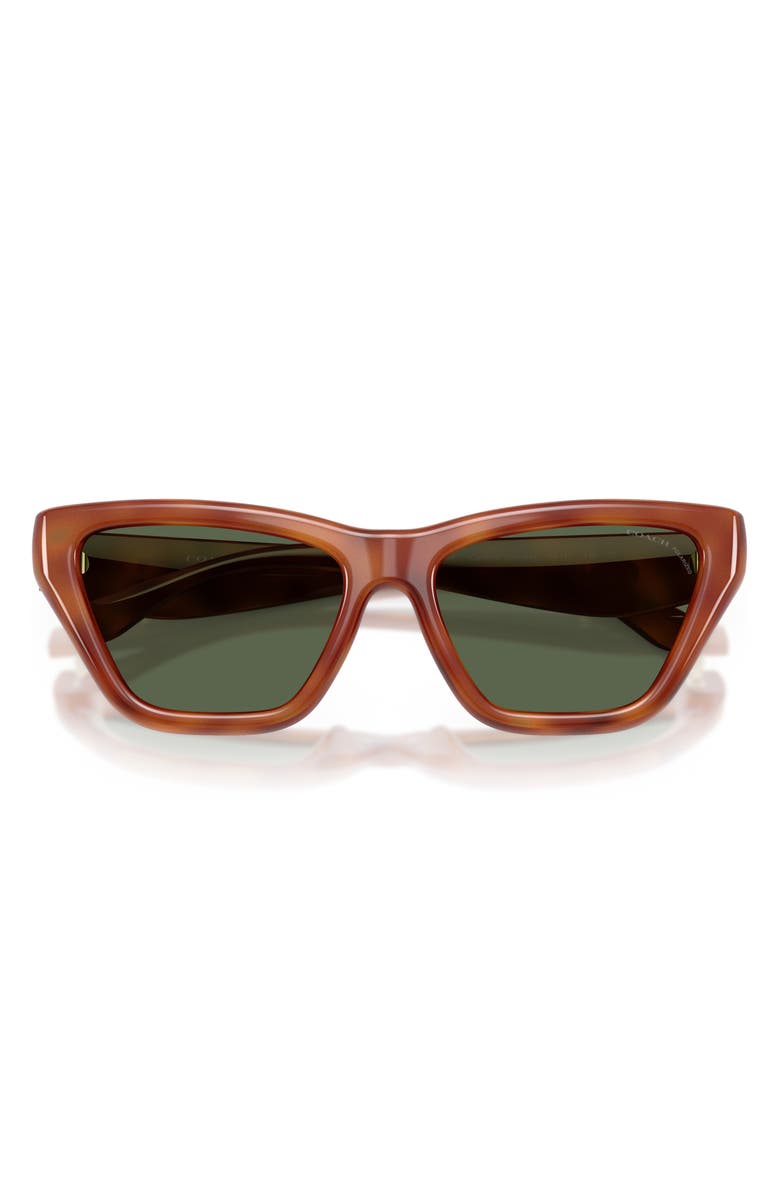 COACH 56mm Polarized Cat Eye Sunglasses, Alternate, color, Caramel Tortoise / Green Polar