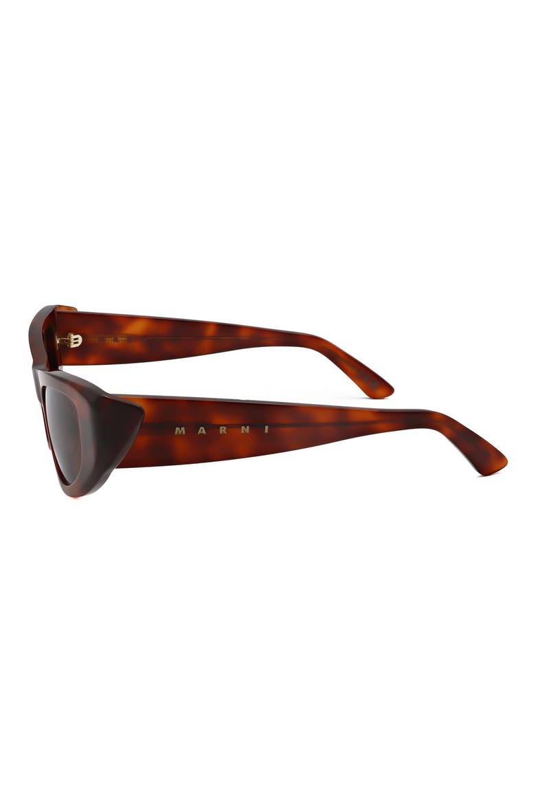 53mm Wrap Sunglasses, Alternate, color, TORT / BROWN
