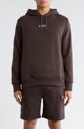 Hurley Activation Graphic Hoodie