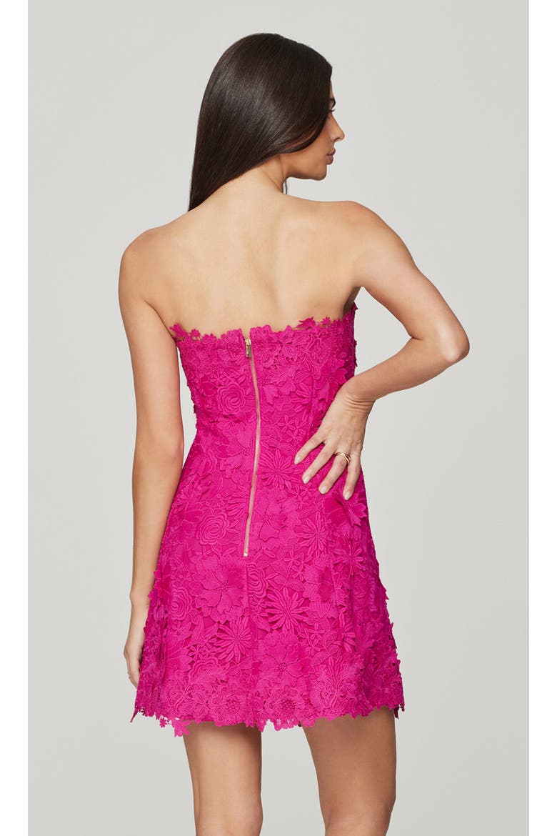 Lydia 3D Lace Dress, Alternate, color, Hibiscus