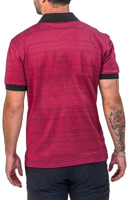 Maceoo Mozart Scale Polo In Red