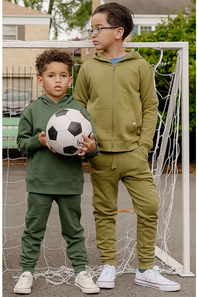 Organic Cotton Zip Up Pocket Hoodie, Alternate, color, Olive