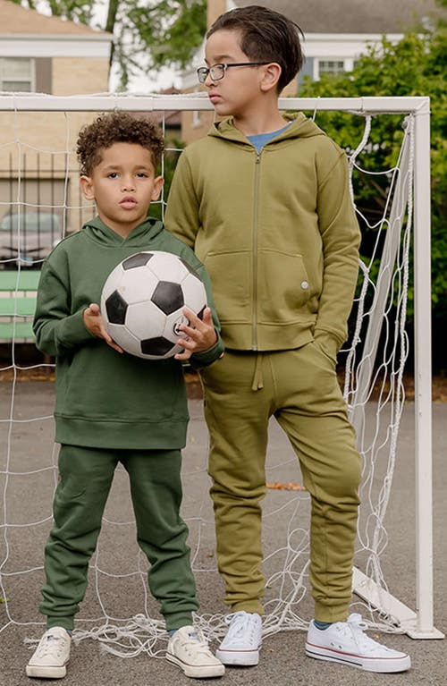 Shop Mightly Organic Cotton Zip Up Pocket Hoodie In Olive
