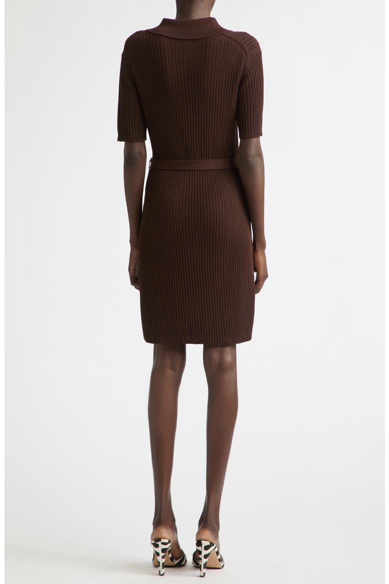 Rib Polo Dress, Alternate, color, EXPRESSO