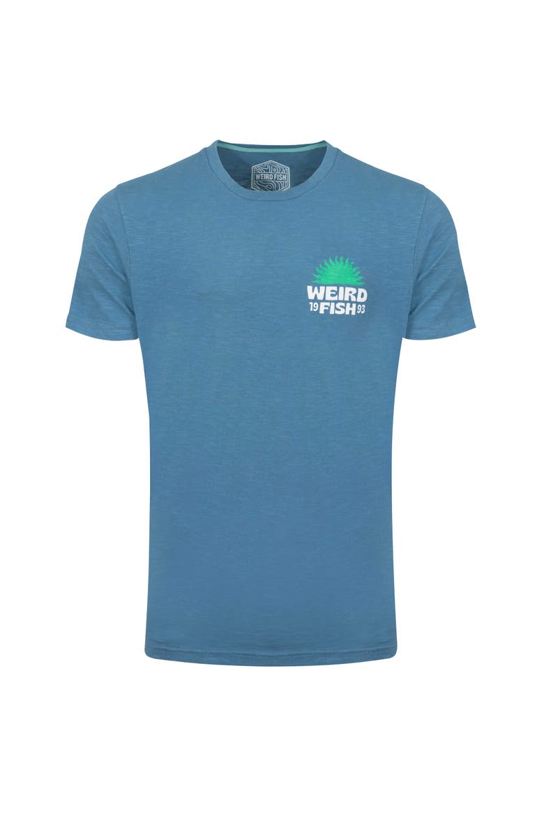 Sun Beam Back Print Graphic T-Shirt, Alternate, color, Washed Blue