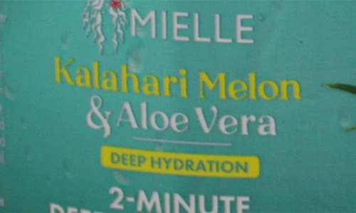 Mielle Kalahari Melon & Aloe Vera 2-minute Deep Conditioner In No Color
